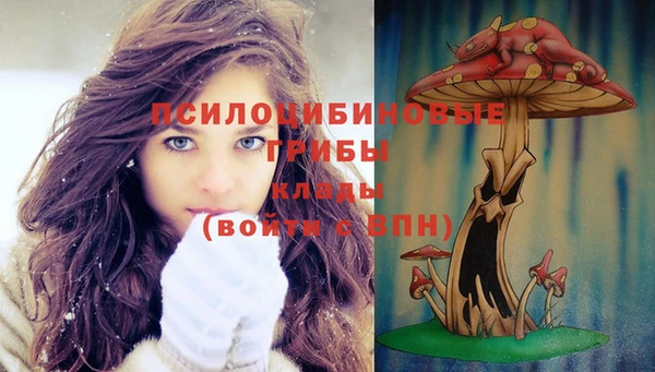 кристаллы Верея
