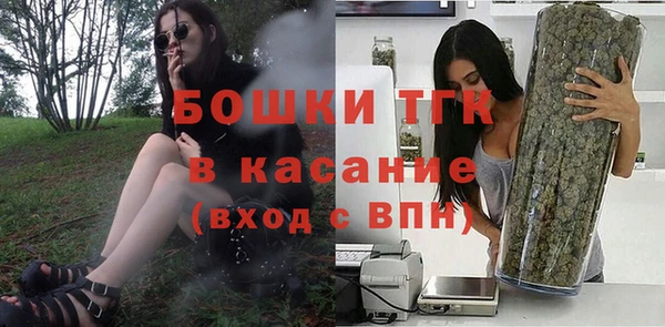 мдпв Верхний Тагил