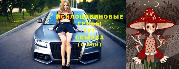 мдпв Верхний Тагил