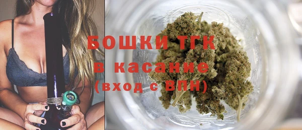 мдпв Верхний Тагил